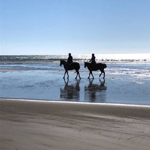 Meet your Posher, Nancy - Picture 1 of 1